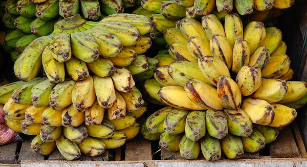 Plátano Cultivado Para Venta Por Menor Mercado Local Frutas Filipinas —  Fotos de Stock