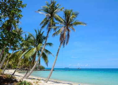 Güneşli bir gün beyaz kum ve palmiye ağaçları ile pastoral tropikal plaj