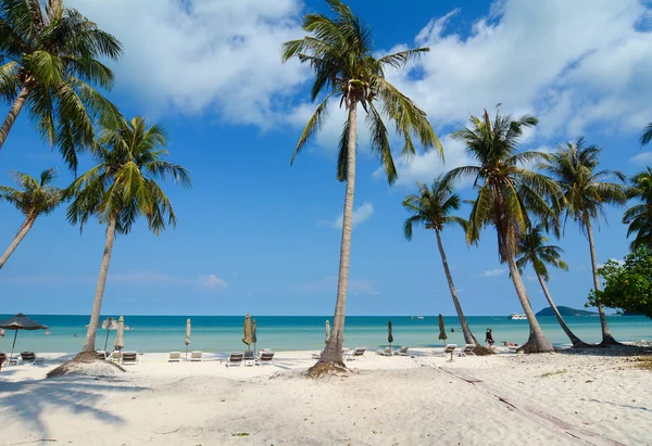 Idylliczne Tropikalnej Plaży Wiele Drzew Plam Słoneczny Dzień — Zdjęcie stockowe