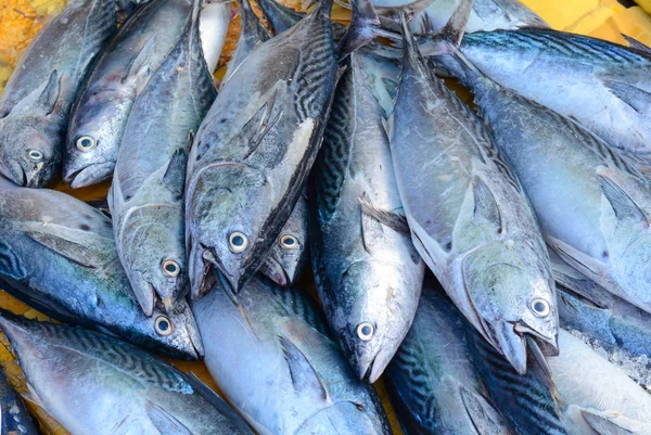 Pesce Fresco Nel Mercato Asiatico Chiuso — Foto Stock