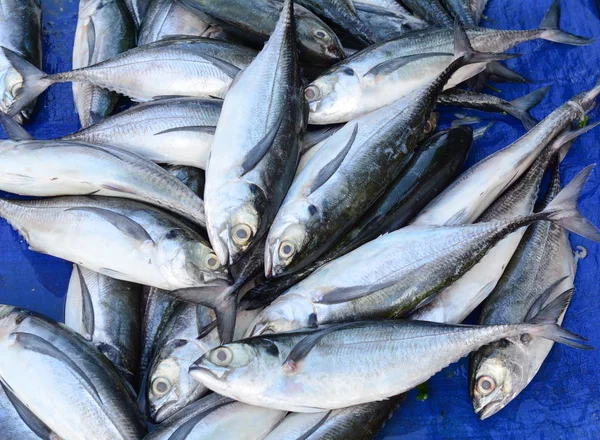 Frischer Fisch Zum Verkauf Auf Dem Asiatischen Markt — Stockfoto