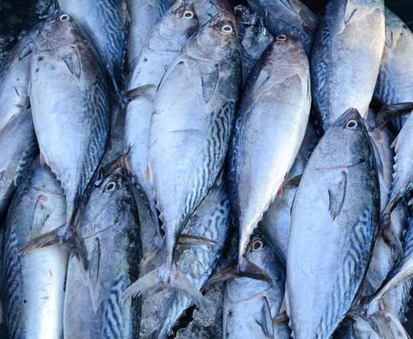 Poisson Frais Sur Marché Local — Photo