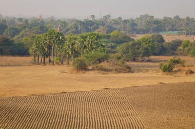 Boş alan Bagan, Myanmar.