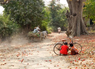 Children playing with the bicycle on the rural road in Mandalay, Myanmar. clipart