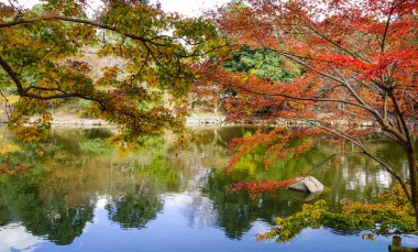 Kırmızı akçaağaç ağaç ve Nara, Kansai, Japonya gölde sonbahar sahne.