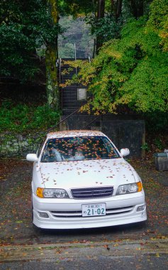 Kyoto, Japonya - 27 Kasım 2016. Yağmurlu bir gün, Sarı yapraklar sonbaharda felsefe yürüyüşte Kyoto, Japonya-arabanın altına.