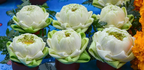 Flor Loto Blanco Templo Tailandés Bangkok Tailandia —  Fotos de Stock