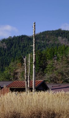 Rustik kışın güneşli gün evinde ile Kuru arpa ürün detay.