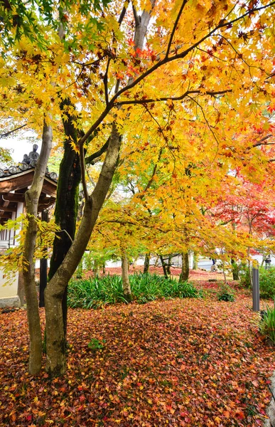 Autumn Scenery Falling Leaves Temple Kyoto Japan — Stock Photo, Image