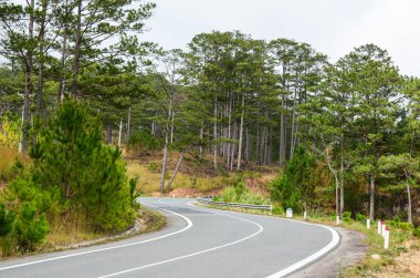 Dağ manzarası otoyol ve çam ağacı orman Highland, Vietnam.