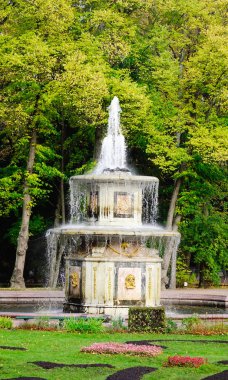 St. Petersburg, Rusya - 9 Ekim 2016. Saint Petersburg, Rusya Federasyonu Peterhof Garden yeşil ağaçlar arka plan ile Roma Çeşmesi. Bahçeler, bazen 
