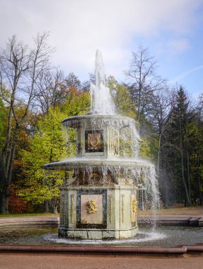 St. Petersburg, Rusya - 9 Ekim 2016. Güneşli bir gün Roma fıskiyede Peterhof Garden Saint Petersburg, Rusya Federasyonu. Bahçeler, bazen 