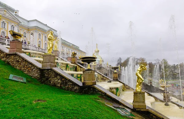 俄罗斯圣彼得堡 2016年10月9日 俄罗斯圣彼得堡的大瀑布和萨姆森喷泉 宫殿合奏被公认为联合国教科文组织的遗产 — 图库照片