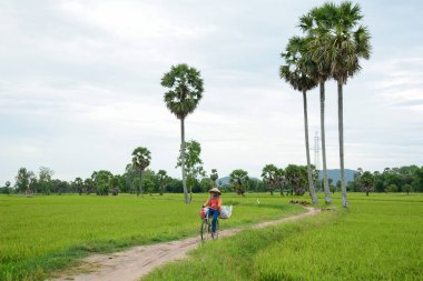 Bir Giang, Vietnam - 7 Ağustos 2016. Çim bir Giang, Vietnam kırsal yolda bir kadın. Mekong Delta da Vietnam'ın en önemli ekonomi bölgesidir.