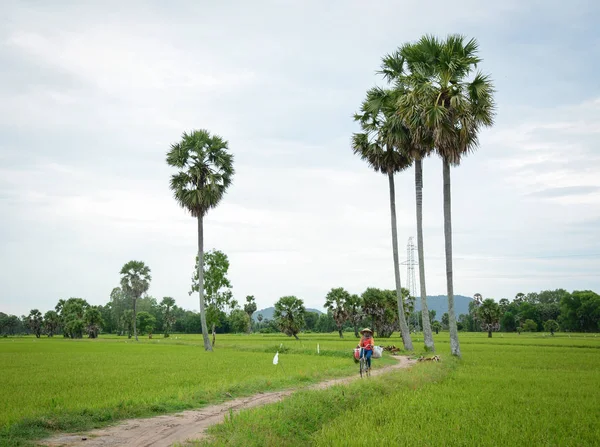 Giang Vietnam August 2016 Eine Frau Trägt Gras Auf Einer — Stockfoto