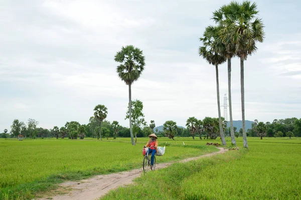Giang Vietnam Aug 2016 Woman Carrying Grass Rural Road Giang — Stock Photo, Image