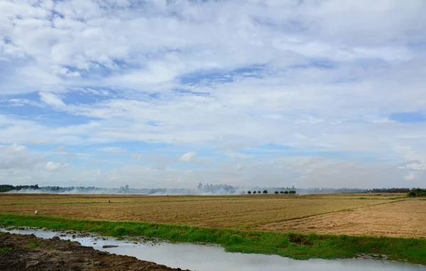 Paisagem Campo Mekong Delta Vietnã Campo Arroz Após Colheita Província — Fotografia de Stock