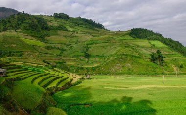 Teraslı pirinç tarlaları Lao Cai, Kuzey Vietnam güneşli bir günde, manzara. Lao Cai Şu anda ülkenin en yoksul iki ilde biridir.