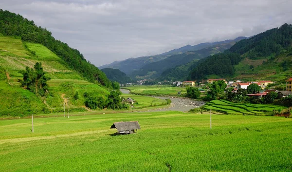 Paesaggio Campi Riso Terrazzati Sapa Vietnam Del Nord Sapa Città — Foto Stock