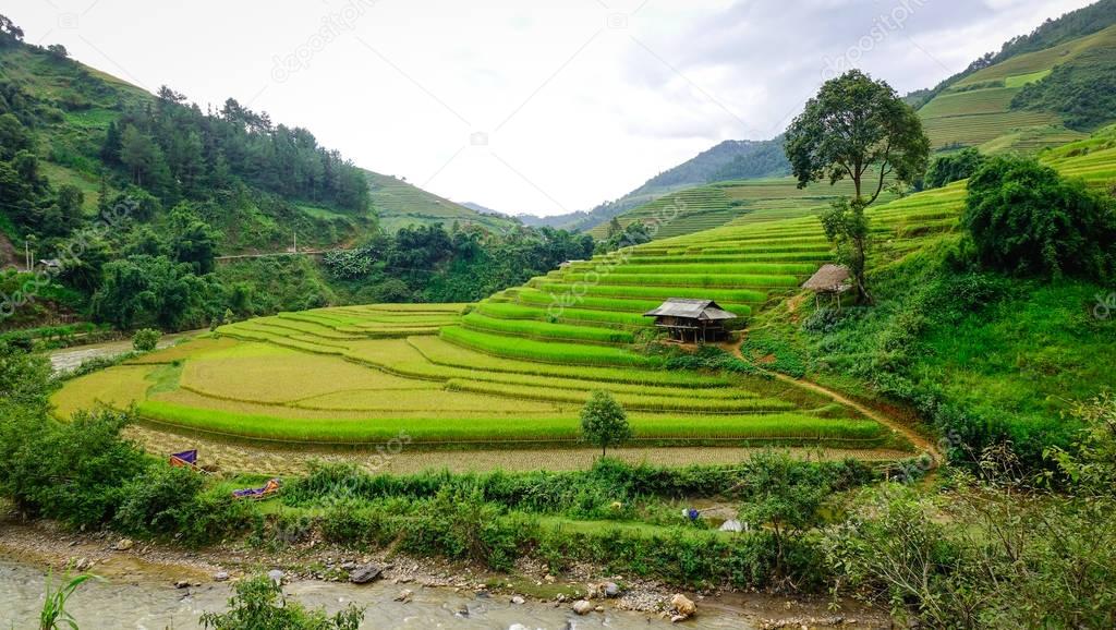 Landscape of terraced rice fields in Vietnam 