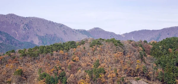 Paysage Automne Coloré Dans Les Montagnes Kyoto Japon — Photo