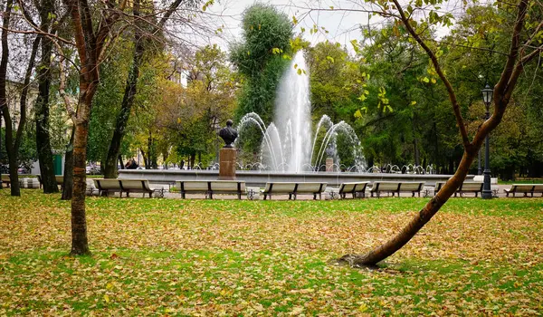 Herbstliche Kulisse Saint Petersburg Russland — Stockfoto