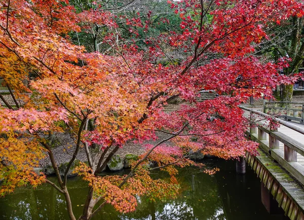 Red maple trees with wooden bridge at the autumn park in Nara, Japan. Japan's first permanent capital was established in the year 710.