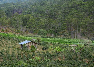 Dağ manzarası Dalat, Vietnam. 