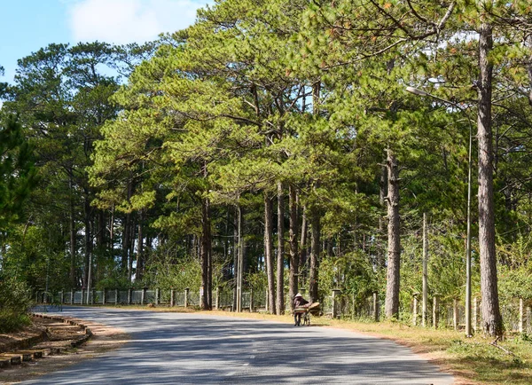 Berglandschap Dalat Vietnam — Stockfoto