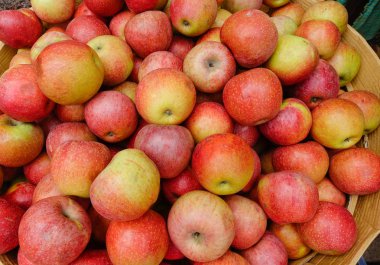 Nefis bir piyasa ahır Yangon, Myanmar, elma yığını.