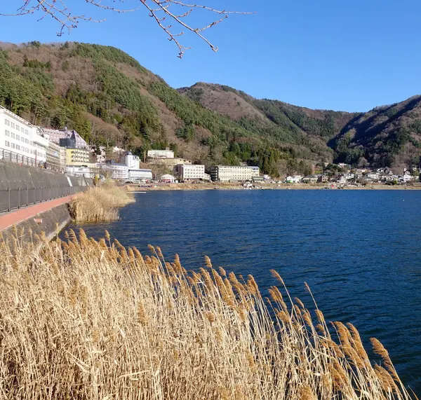 Kawaguchi Látképe Szárított Japánban Lake Kawaguchi Található Déli Yamanashi Prefektúra — Stock Fotó