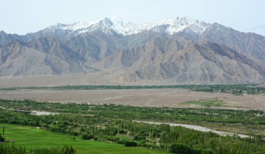 Yeşil vadi Leh, Ladakh, Hindistan dağlarda kar ile. Ladakh Jammu ve Keşmir en seyrek nüfuslu bölgelerde biridir.