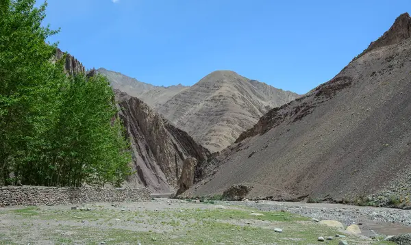 Μια Κοιλάδα Πράσινο Δέντρα Στο Leh Ladakh Ινδία Ladakh Είναι — Φωτογραφία Αρχείου