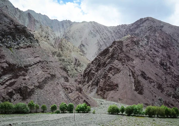 Yeşil Ağaçların Leh Ladakh Hindistan Ile Dağ Sahne Çok Fazla — Stok fotoğraf