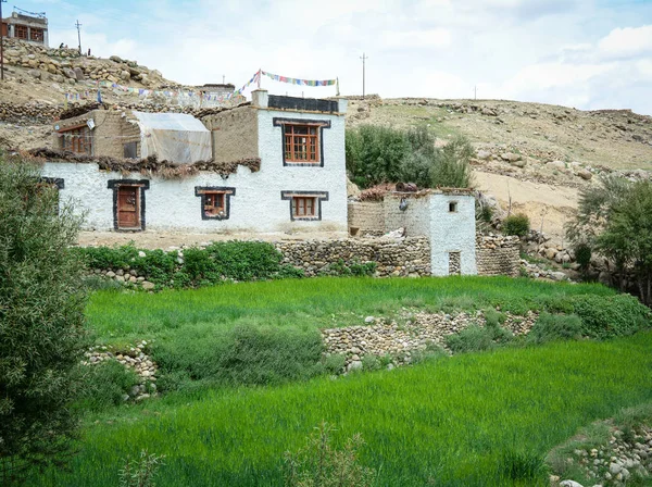 Een Huis Een Landelijk Dorp Ladakh India Ladakh Het Hoogste — Stockfoto