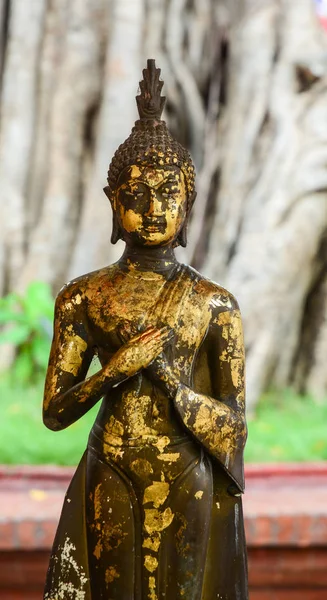 バンコク タイの寺に黄金の仏像 — ストック写真