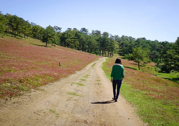 Egy Fiatal Nőt Walking Vidéki Úton Dalat Vietnam — Stock Fotó