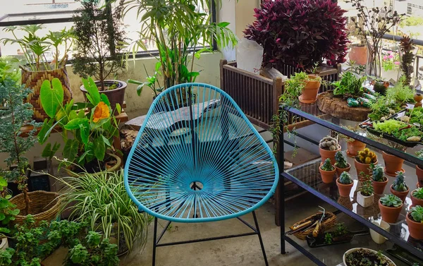 Niebieski Fotel Małym Ogrodzie Wielu Garnki Kaktus — Zdjęcie stockowe