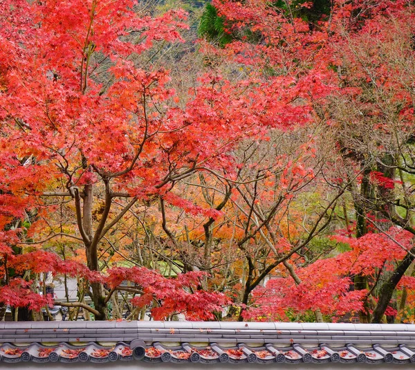 Landscape Japanese Garden Autumn Kyoto Japan Kyoto Contains Roughly 000 — Stock Photo, Image