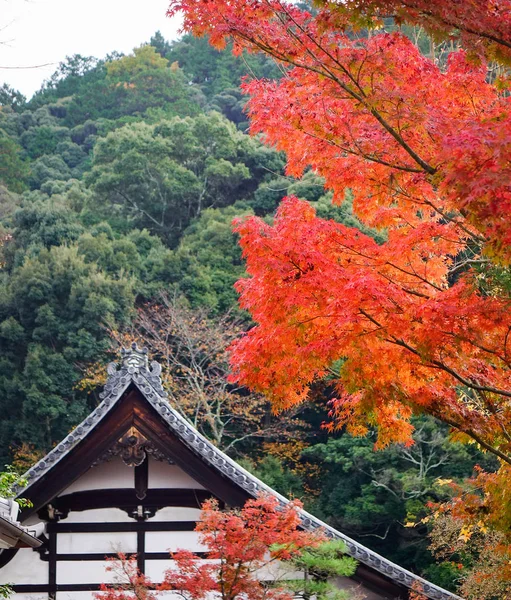 Autumn Trees Main Hall Eikando Temple Kyoto Japan Eikando Zenrinji — Stock Photo, Image