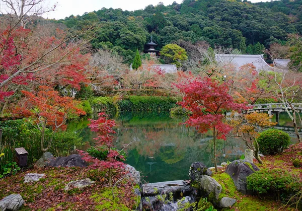 日本京都爱康寺的秋景与湖泊 江康曾仁寺位于京都市中东部 — 图库照片