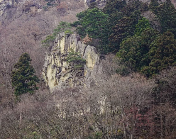 Paysages Montagne Avec Des Rochers Des Arbres Yamadera Japon — Photo