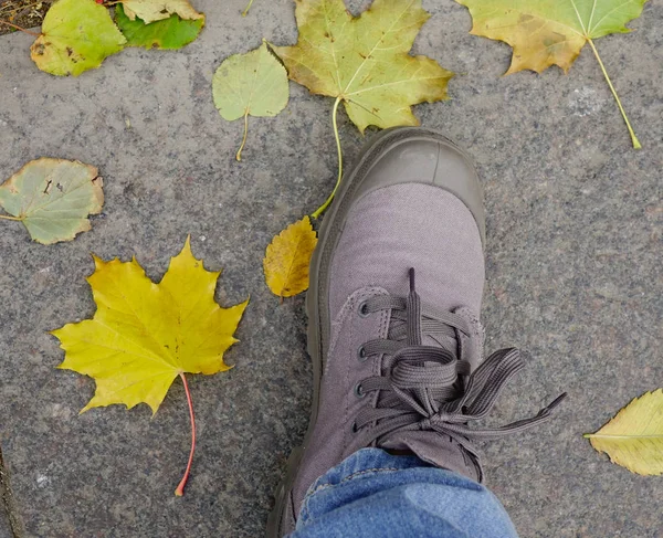Fall, autumn, leaves, legs and shoes. Conceptual image of leg in shoe on the autumn leaves. Feet shoes walking in nature.