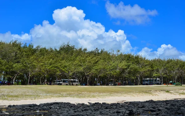 Зелені Дерева Сонячний День Чорними Скелями Біля Тропічного Пляжу — стокове фото