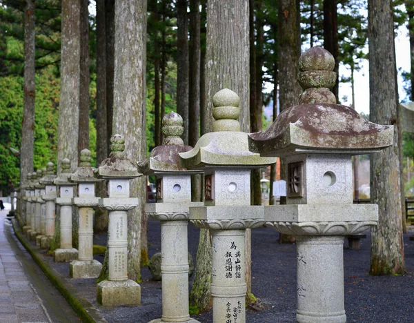 Wakayama Japón Nov 2016 Muchas Linternas Piedra Con Bosque Pinos —  Fotos de Stock