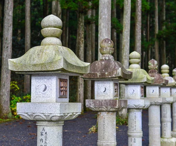 Wakayama Japón Nov 2016 Muchas Linternas Piedra Con Bosque Pinos —  Fotos de Stock