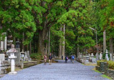 Wakayama, Japonya - 24 Kasım 2016. Büyük Koyasan ağaçlarda ile Okunoin Mezarlığı.