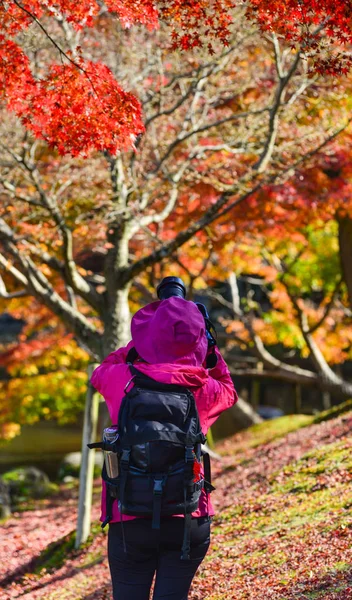 Een Vrouw Die Het Vastleggen Van Beelden Japanse Tuin Herfst — Stockfoto