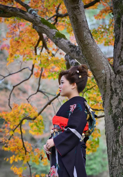 Egy Japán Fiatal Hagyományos Ruhában Kimono Állva Őszi Parkban Nara — Stock Fotó