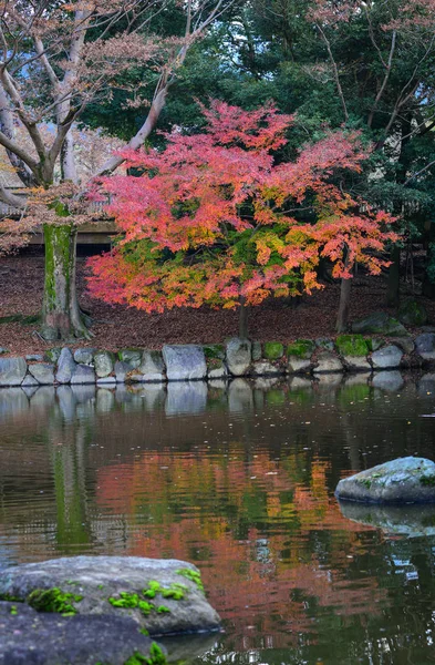 Paisaje Del Jardín Japonés Otoño Nara Kansai Japón Nara Fue — Foto de Stock